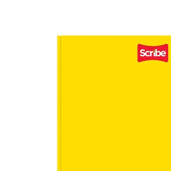 DIARIO FRANC. SCRIBE 1950 RAYA 192H. C.18